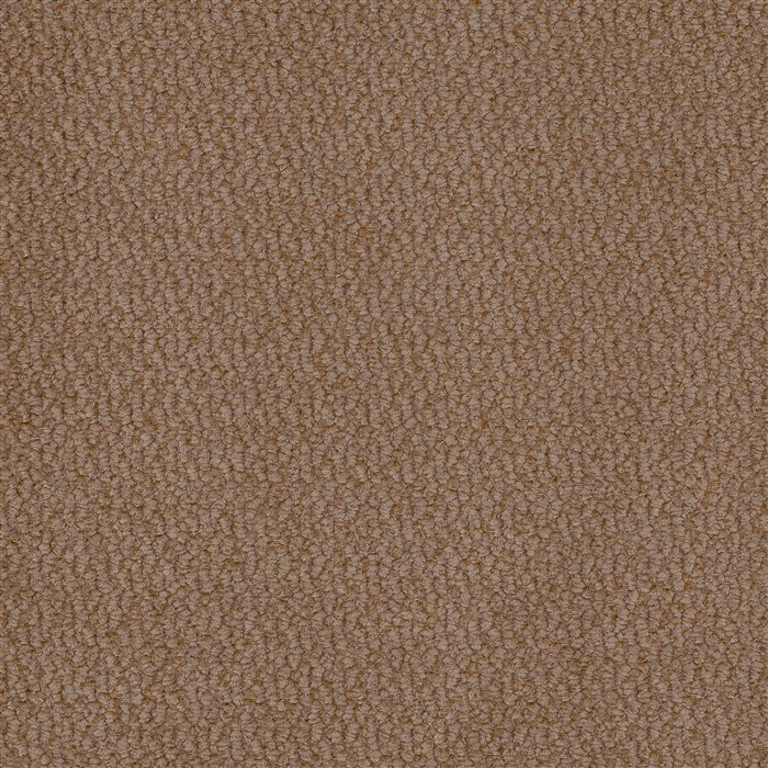 Vinci 38