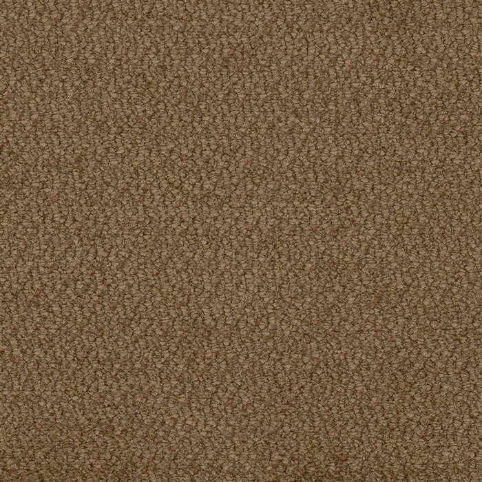 Vinci 41